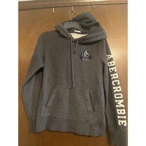 Y2K Abercrombie & Fitch Hoodie Men's Gray Heavy Thick Spellout Muscle